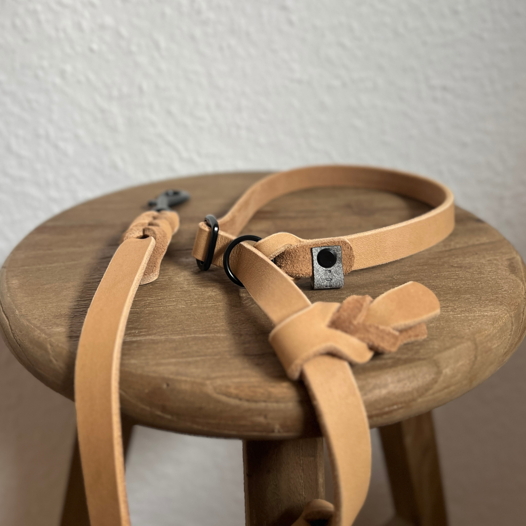 ROSALEIN-Collection Retrieverleine